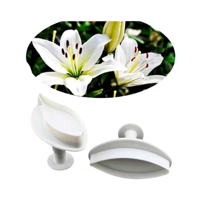 lily flower