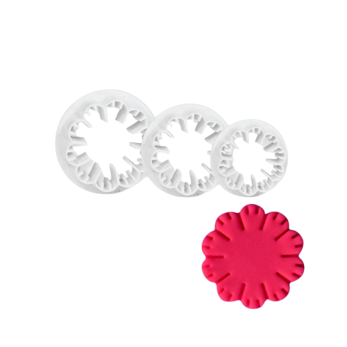 carnation flower
